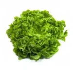 Lechuga Fresca - 1 Pieza
