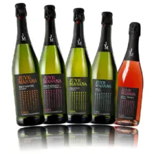 Juvé Masana Cava Surtido – 5 × 0,75 L